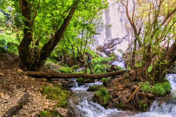 آبشار « زردلیمه »