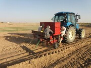 کشاورزان گچسارانی در انتظار آب برای کشت تابستانه