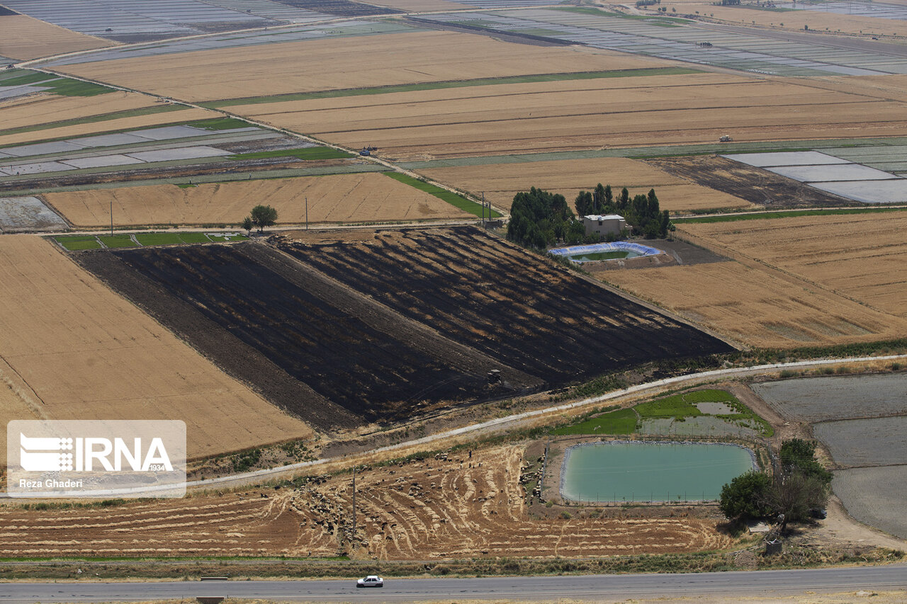 بودجه پیشنهادی ۱۸.۵ هزار میلیارد تومانی بخش کشاورزی بودجه پیشنهادی ۱۸.۵ هزار میلیارد تومانی بخش کشاورزی