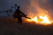 مهار آتش در جنگل‌های بناب ارسنجان نیاز به ارسال تجهیزات دارد