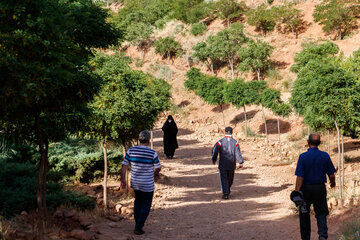 بام تبریز