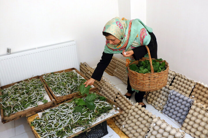 کارآفرینی زنان؛ ایجاد اشتغال پایدار و تحکیم خانواده