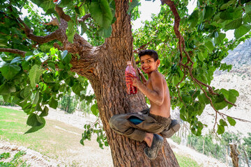 به وقت کودکی در روستا کودک روستایی کودکان روستایی گذراندن اوقات فراغت کودکان روستایی بازی کودکان روستایی شادی کودکان روستایی