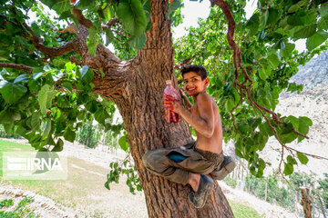 به وقت کودکی در روستا