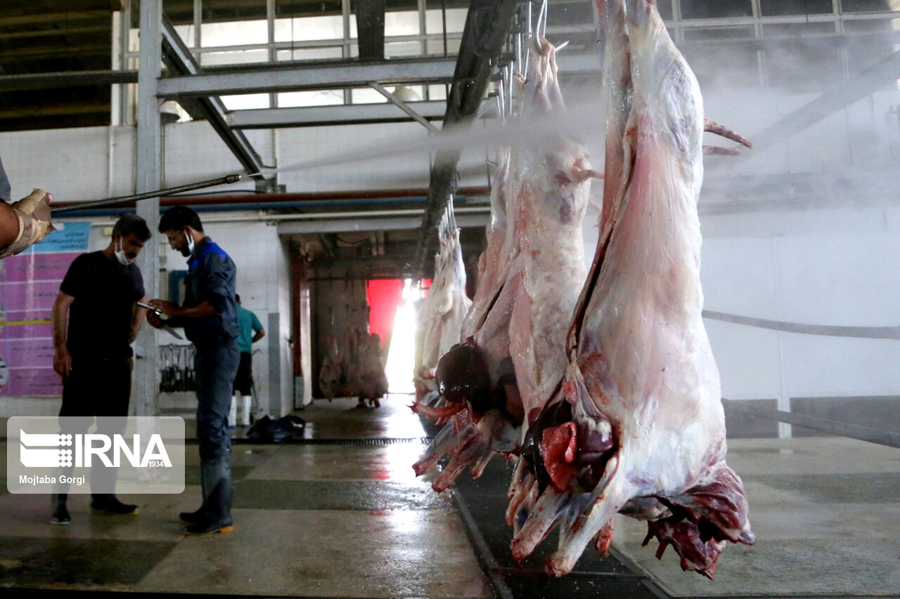 اعزام ناظرین بهداشتی سازمان دامپزشکی به کشورهای صادرکننده گوشت به ایران 