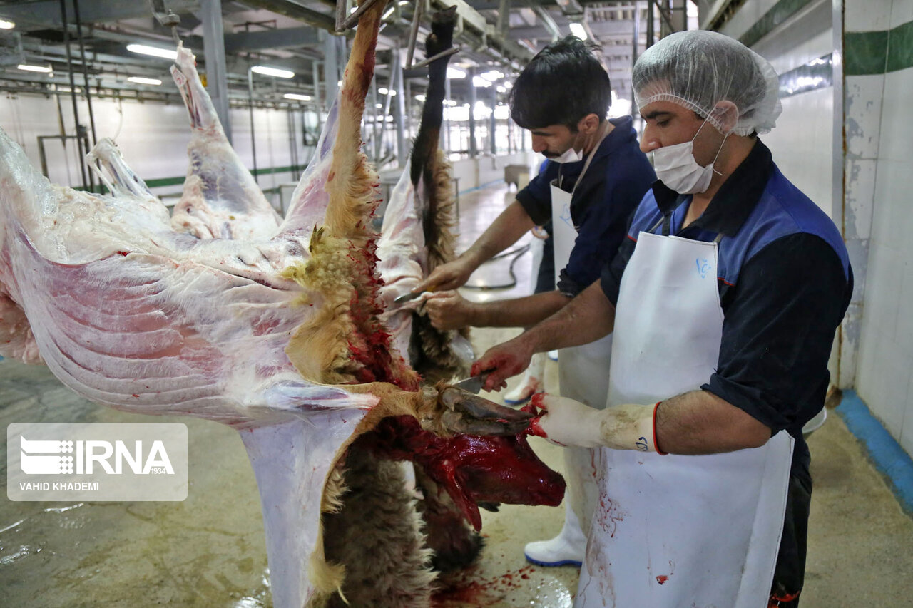 صادرات محدود دام نباید بهانه‌ای برای افزایش قیمت گوشت قرمز باشد