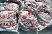 پلیس سمنان و سیستان و بلوچستان ۴۶۱ کیلوگرم موادمخدر کشف کردند