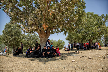 Boda nómada en el oeste de Irán