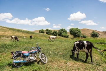 روستای امرالله