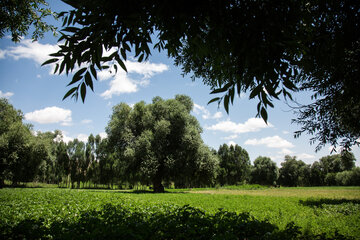 روستای امرالله