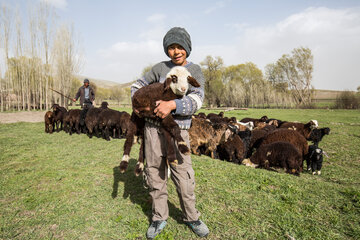 روستای امرالله