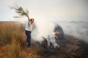 آتش سوزی ۱۰هکتار از پوشش گیاهی انار وتمشک میانکاله را خاکستر کرد
