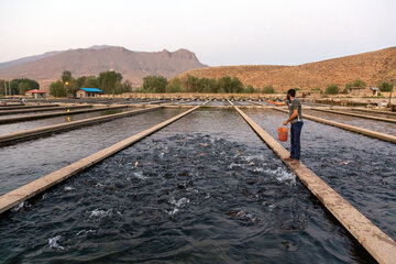 Cultivo de peces en Chaharmahal y Bajtiari