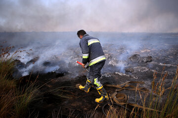 ۳۴۰ هکتار پوشش گیاهی و جنگلی میانکاله در آتش سوخت 