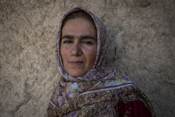 برداشت یاقوت سرخ در روستای «دهحوض» ایذه