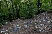 زباله‌های رها شده، مانع اصلی رونق گردشگری در جنگل‌های هیرکانی
