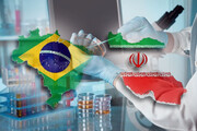 سفر وزیر کشاورزی برزیل به ایران، فرصتی برای توسعه مناسبات است