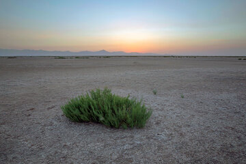 حدود ۵۹ درصد پهنه خراسان شمالی درگیر خشکسالی است