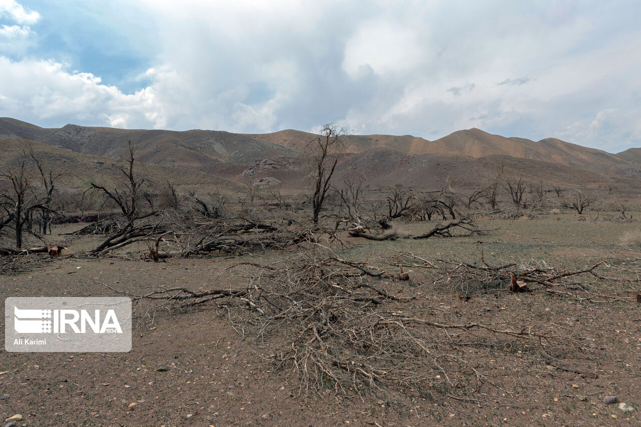 ایران در گیر و دار مبارزه با خشکسالی ایران در گیر و دار مبارزه با خشکسالی