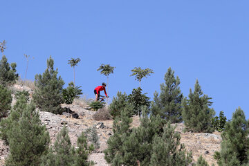 Campeonato de Ciclismo de Montaña en Mashhad