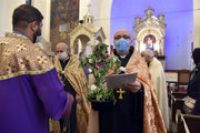 Fiesta de la Exaltación de la Santa Cruz en Irán
