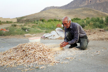 روستای «گورجین قلعه» نماد ایستادگی برای ایران