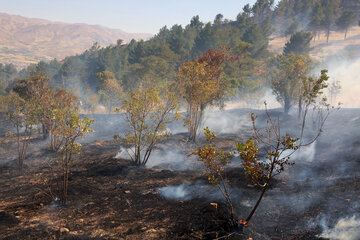 شعله های آتش همچنان در جنگل های گچساران می تازد