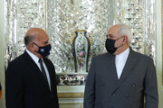 ظريف : تحدثت مع نظيري العراقي حول اغتيال الشهيد سليماني