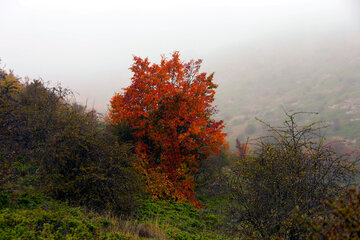 Otoño en Yahannama, norte de Irán