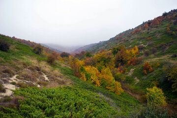 Otoño en Yahannama, norte de Irán