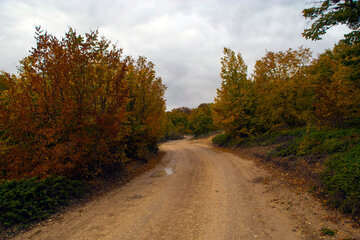 Otoño en Yahannama, norte de Irán