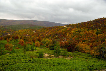 Otoño en Yahannama, norte de Irán