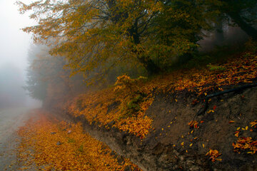 Otoño en Yahannama, norte de Irán