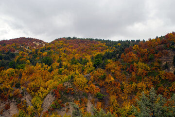 Otoño en Yahannama, norte de Irán