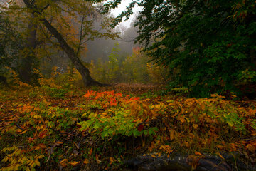 Otoño en Yahannama, norte de Irán