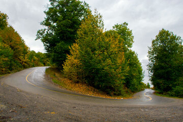 Otoño en Yahannama, norte de Irán