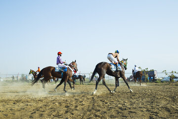  Curso otoñal de equitación en Aqqala