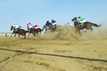  Curso otoñal de equitación en Aqqala