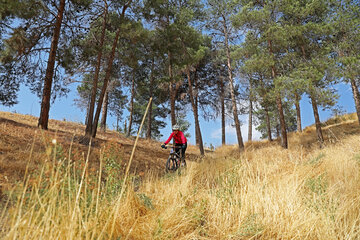 Ciclismo de Montaña Femenino
