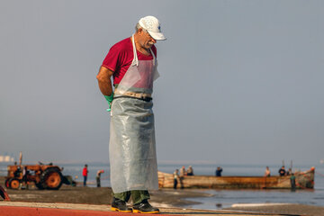 Pesca de peces óseos en el Mar Caspio