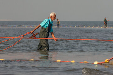 Pesca de peces óseos en el Mar Caspio