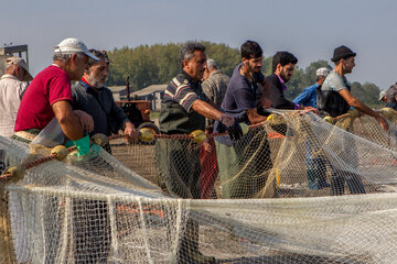 Pesca de peces óseos en el Mar Caspio