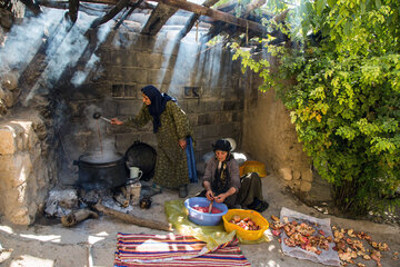 برداشت انار در روستای دوپلان