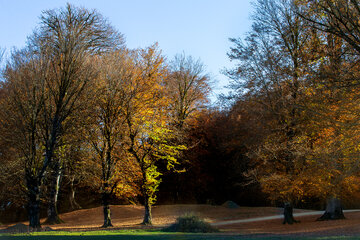 Otoño en el norte de Irán
