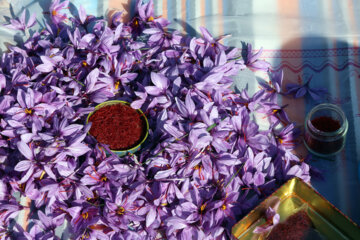۱۵۰۰ کیلو زعفران فردا در بورس کالا عرضه می شود