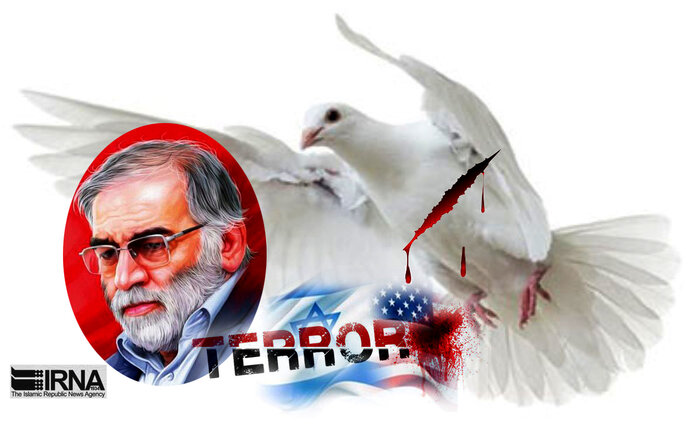 نقش اسرائیل در ترور دانشمند ایرانی؛ سکوت غرب و روشنگری رسانه‌ها