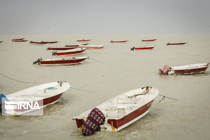 سرمایهگذاری درمناطق آزاد و نفتی، راهبرد دولت برای اشتغالزایی