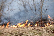 آتش‌سوزی در جنگل‌ نوشهر ادامه دارد