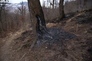 آتش‌سوزی در ۲ نقطه جنگلی رامسر مهار شد