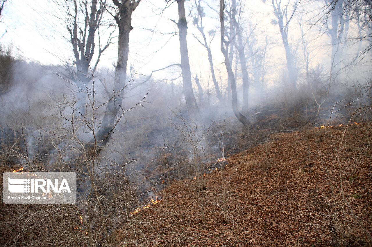 حدود ۲ هکتار از جنگل ۲ هزار تنکابن در آتش سوخت